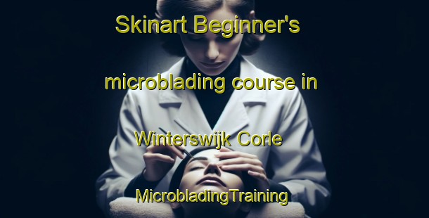 Skinart Beginner's microblading course in Winterswijk Corle | #MicrobladingTraining #MicrobladingClasses #SkinartTraining-Netherlands