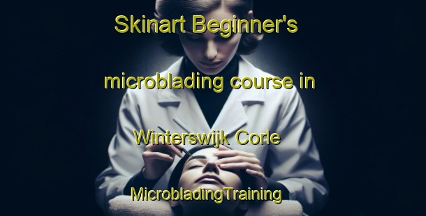 Skinart Beginner's microblading course in Winterswijk Corle | MicrobladingTraining | MicrobladingClasses | SkinartTraining-Netherlands
