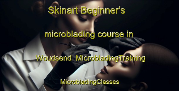 Skinart Beginner's microblading course in Woudsend | #MicrobladingTraining #MicrobladingClasses #SkinartTraining-Netherlands