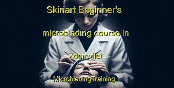 Skinart Beginner's microblading course in Zoomvliet | MicrobladingTraining | MicrobladingClasses | SkinartTraining-Netherlands