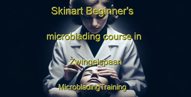 Skinart Beginner's microblading course in Zwingelspaan | MicrobladingTraining | MicrobladingClasses | SkinartTraining-Netherlands