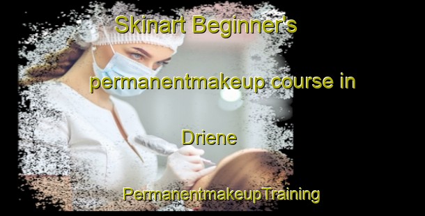 Skinart Beginner's permanentmakeup course in Driene | #PermanentmakeupTraining #PermanentmakeupClasses #SkinartTraining-Netherlands