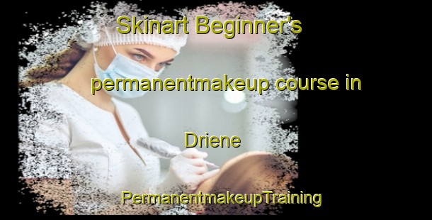 Skinart Beginner's permanentmakeup course in Driene | PermanentmakeupTraining | PermanentmakeupClasses | SkinartTraining-Netherlands
