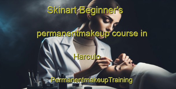 Skinart Beginner's permanentmakeup course in Harculo | #PermanentmakeupTraining #PermanentmakeupClasses #SkinartTraining-Netherlands