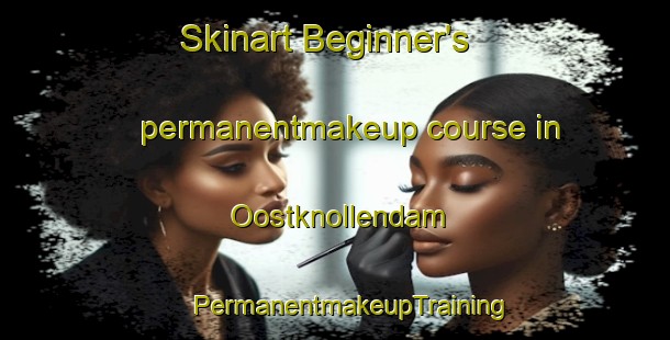 Skinart Beginner's permanentmakeup course in Oostknollendam | #PermanentmakeupTraining #PermanentmakeupClasses #SkinartTraining-Netherlands