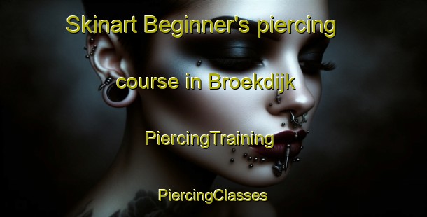 Skinart Beginner's piercing course in Broekdijk | #PiercingTraining #PiercingClasses #SkinartTraining-Netherlands