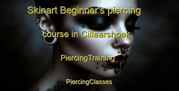 Skinart Beginner's piercing course in Cillaarshoek | #PiercingTraining #PiercingClasses #SkinartTraining-Netherlands