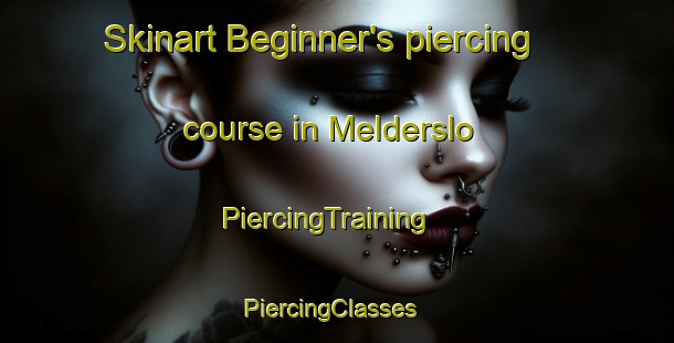 Skinart Beginner's piercing course in Melderslo | PiercingTraining | PiercingClasses | SkinartTraining-Netherlands