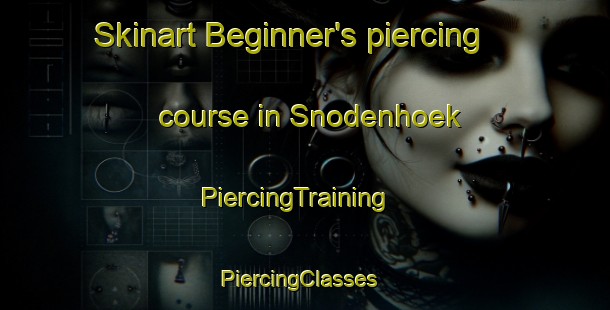 Skinart Beginner's piercing course in Snodenhoek | PiercingTraining | PiercingClasses | SkinartTraining-Netherlands