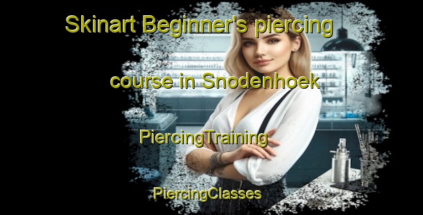 Skinart Beginner's piercing course in Snodenhoek | PiercingTraining | PiercingClasses | SkinartTraining-Netherlands
