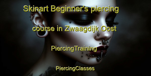 Skinart Beginner's piercing course in Zwaagdijk Oost | #PiercingTraining #PiercingClasses #SkinartTraining-Netherlands