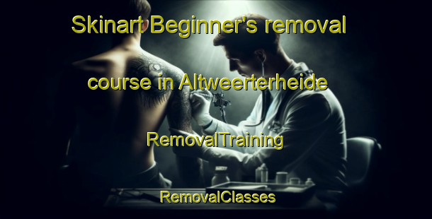 Skinart Beginner's removal course in Altweerterheide | RemovalTraining | RemovalClasses | SkinartTraining-Netherlands
