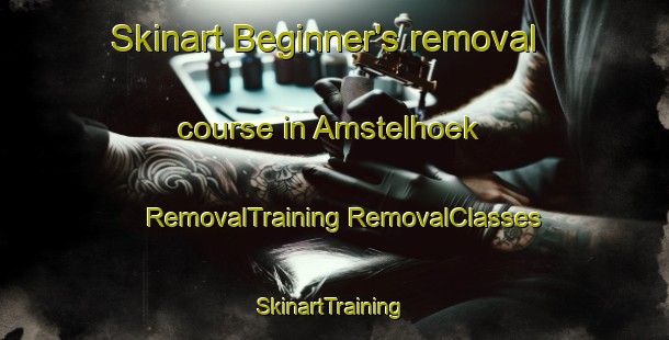 Skinart Beginner's removal course in Amstelhoek | #RemovalTraining #RemovalClasses #SkinartTraining-Netherlands