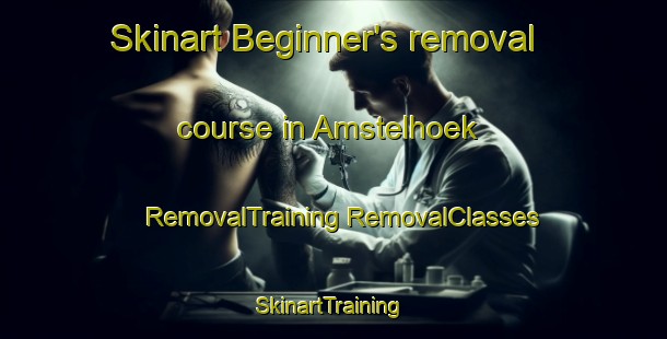 Skinart Beginner's removal course in Amstelhoek | #RemovalTraining #RemovalClasses #SkinartTraining-Netherlands