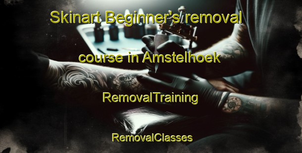 Skinart Beginner's removal course in Amstelhoek | RemovalTraining | RemovalClasses | SkinartTraining-Netherlands