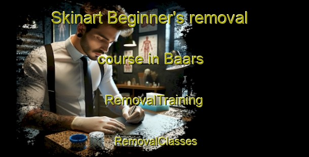 Skinart Beginner's removal course in Baars | RemovalTraining | RemovalClasses | SkinartTraining-Netherlands