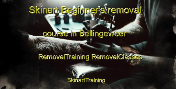 Skinart Beginner's removal course in Bellingeweer | #RemovalTraining #RemovalClasses #SkinartTraining-Netherlands