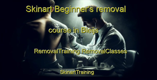 Skinart Beginner's removal course in Bleijs | #RemovalTraining #RemovalClasses #SkinartTraining-Netherlands