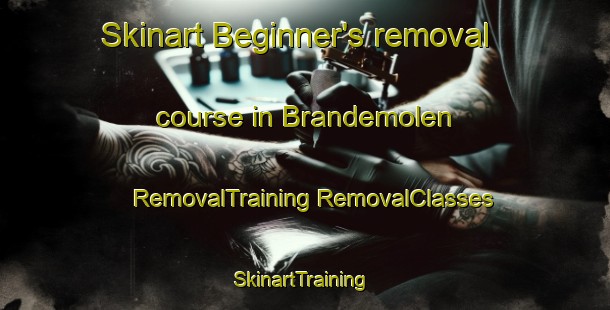 Skinart Beginner's removal course in Brandemolen | #RemovalTraining #RemovalClasses #SkinartTraining-Netherlands