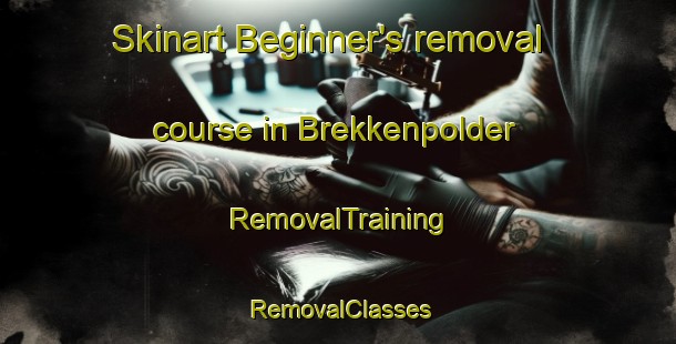 Skinart Beginner's removal course in Brekkenpolder | RemovalTraining | RemovalClasses | SkinartTraining-Netherlands