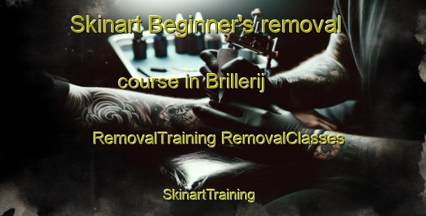 Skinart Beginner's removal course in Brillerij | #RemovalTraining #RemovalClasses #SkinartTraining-Netherlands