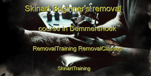 Skinart Beginner's removal course in Demmershoek | #RemovalTraining #RemovalClasses #SkinartTraining-Netherlands