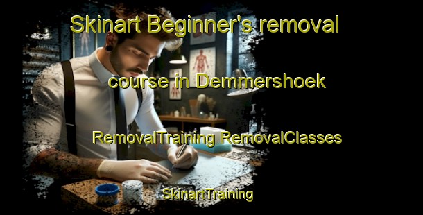 Skinart Beginner's removal course in Demmershoek | #RemovalTraining #RemovalClasses #SkinartTraining-Netherlands