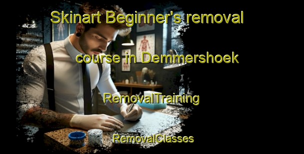 Skinart Beginner's removal course in Demmershoek | RemovalTraining | RemovalClasses | SkinartTraining-Netherlands