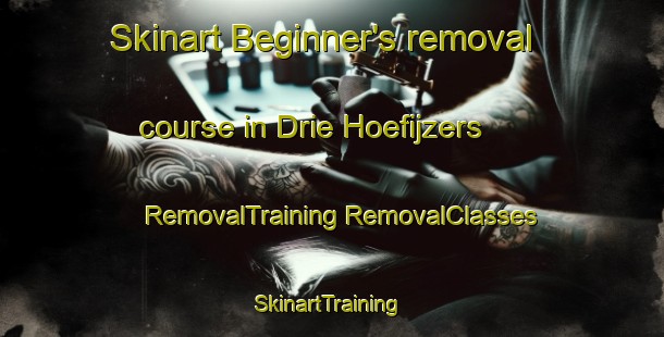 Skinart Beginner's removal course in Drie Hoefijzers | #RemovalTraining #RemovalClasses #SkinartTraining-Netherlands