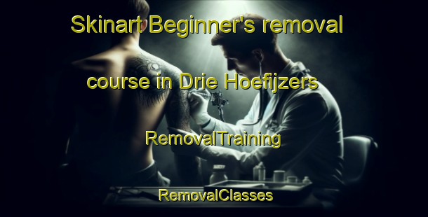Skinart Beginner's removal course in Drie Hoefijzers | RemovalTraining | RemovalClasses | SkinartTraining-Netherlands