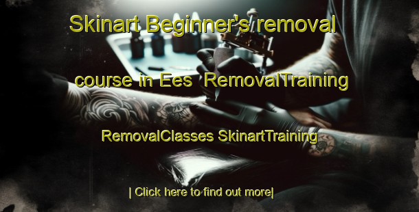 Skinart Beginner's removal course in Ees | #RemovalTraining #RemovalClasses #SkinartTraining-Netherlands