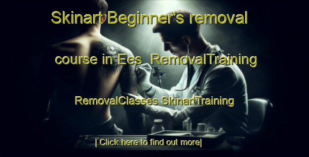 Skinart Beginner's removal course in Ees | #RemovalTraining #RemovalClasses #SkinartTraining-Netherlands