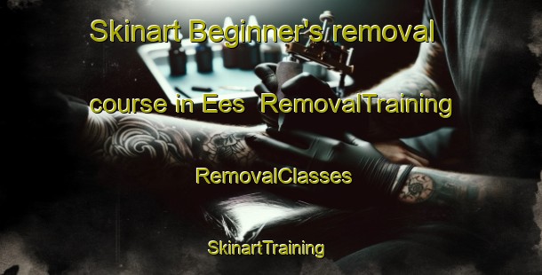 Skinart Beginner's removal course in Ees | RemovalTraining | RemovalClasses | SkinartTraining-Netherlands