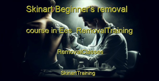 Skinart Beginner's removal course in Ees | RemovalTraining | RemovalClasses | SkinartTraining-Netherlands