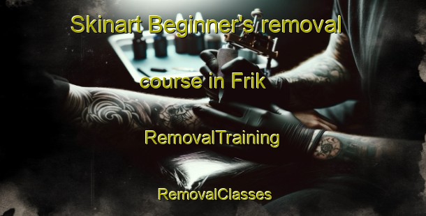 Skinart Beginner's removal course in Frik | RemovalTraining | RemovalClasses | SkinartTraining-Netherlands