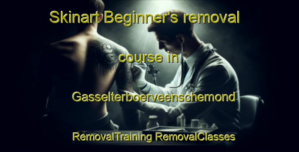 Skinart Beginner's removal course in Gasselterboerveenschemond | #RemovalTraining #RemovalClasses #SkinartTraining-Netherlands