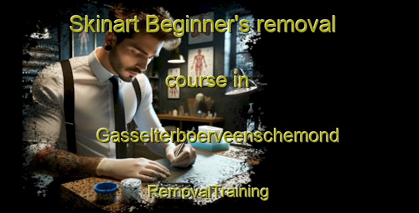 Skinart Beginner's removal course in Gasselterboerveenschemond | RemovalTraining | RemovalClasses | SkinartTraining-Netherlands