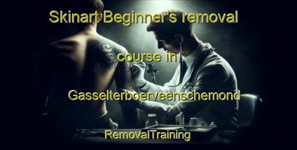 Skinart Beginner's removal course in Gasselterboerveenschemond | RemovalTraining | RemovalClasses | SkinartTraining-Netherlands