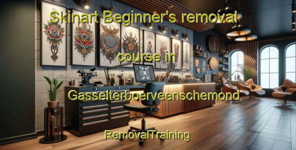 Skinart Beginner's removal course in Gasselterboerveenschemond | RemovalTraining | RemovalClasses | SkinartTraining-Netherlands