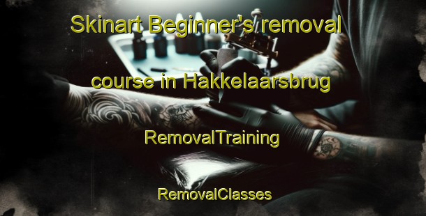 Skinart Beginner's removal course in Hakkelaarsbrug | RemovalTraining | RemovalClasses | SkinartTraining-Netherlands