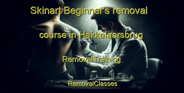 Skinart Beginner's removal course in Hakkelaarsbrug | RemovalTraining | RemovalClasses | SkinartTraining-Netherlands