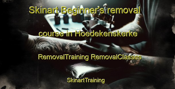 Skinart Beginner's removal course in Hoedekenskerke | #RemovalTraining #RemovalClasses #SkinartTraining-Netherlands