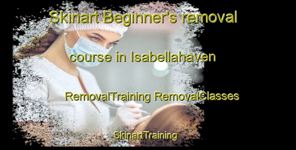 Skinart Beginner's removal course in Isabellahaven | #RemovalTraining #RemovalClasses #SkinartTraining-Netherlands