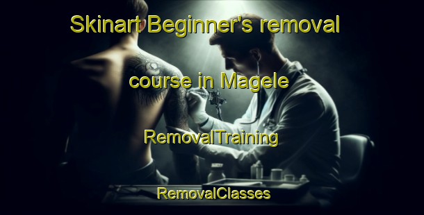 Skinart Beginner's removal course in Magele | RemovalTraining | RemovalClasses | SkinartTraining-Netherlands