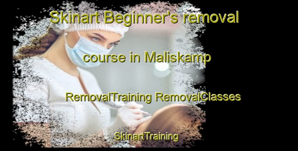 Skinart Beginner's removal course in Maliskamp | #RemovalTraining #RemovalClasses #SkinartTraining-Netherlands