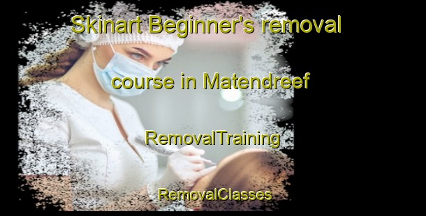 Skinart Beginner's removal course in Matendreef | RemovalTraining | RemovalClasses | SkinartTraining-Netherlands
