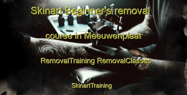 Skinart Beginner's removal course in Meeuwenplaat | #RemovalTraining #RemovalClasses #SkinartTraining-Netherlands