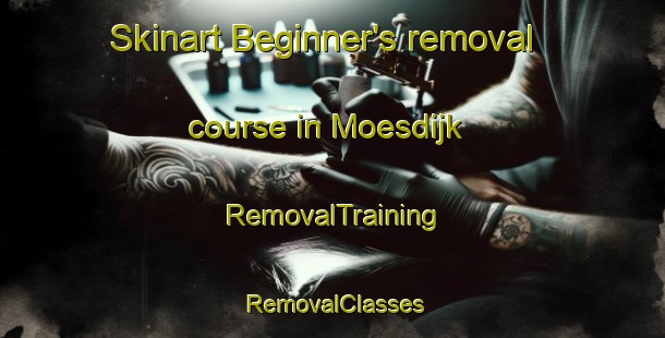 Skinart Beginner's removal course in Moesdijk | RemovalTraining | RemovalClasses | SkinartTraining-Netherlands