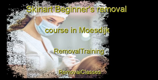 Skinart Beginner's removal course in Moesdijk | RemovalTraining | RemovalClasses | SkinartTraining-Netherlands