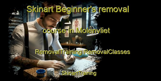 Skinart Beginner's removal course in Molenvliet | #RemovalTraining #RemovalClasses #SkinartTraining-Netherlands